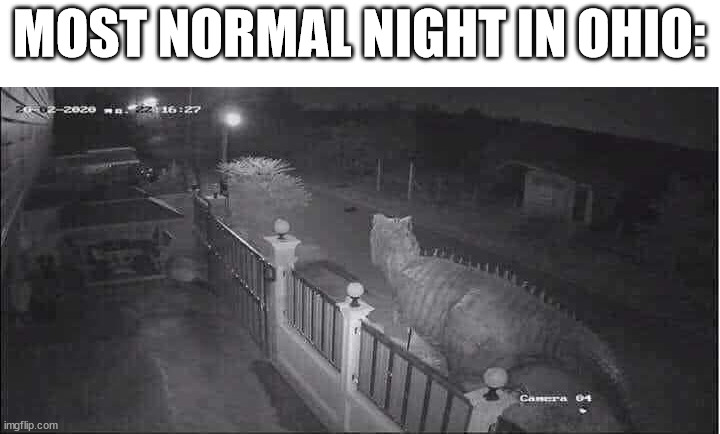 MOST NORMAL NIGHT IN OHIO: | image tagged in ohio | made w/ Imgflip meme maker