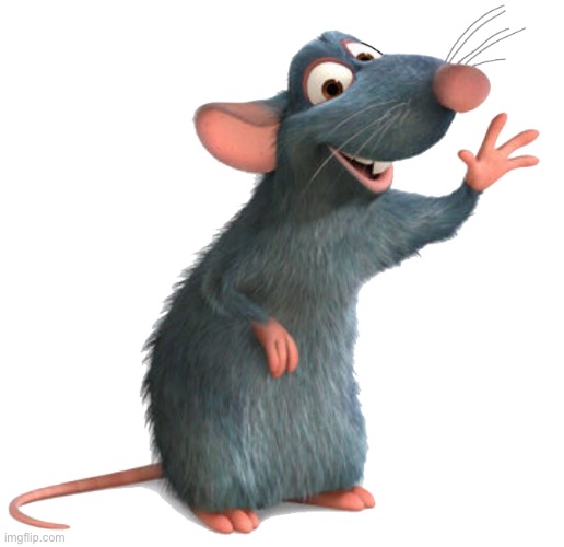 Remy the Rat | image tagged in remy the rat | made w/ Imgflip meme maker