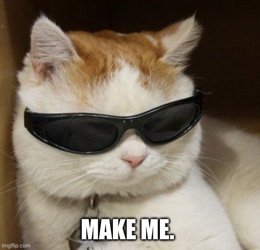 Make me | MAKE ME. | image tagged in cat in sunglasses | made w/ Imgflip meme maker