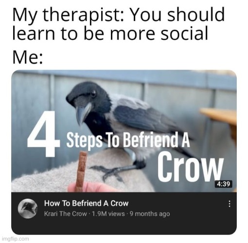 This is definitely me. | image tagged in crows,memes | made w/ Imgflip meme maker