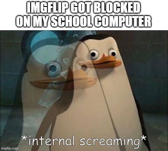 i cant be online during the day now ;-; | IMGFLIP GOT BLOCKED ON MY SCHOOL COMPUTER | image tagged in private internal screaming | made w/ Imgflip meme maker
