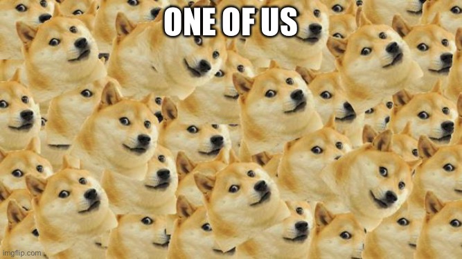 Multi Doge | ONE OF US | image tagged in memes,multi doge,one of us | made w/ Imgflip meme maker