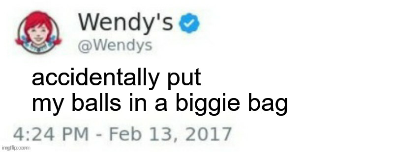 Wendy's Twitter | ACCIDENTALLY PUT MY BALLS IN A BIGGIE BAG; accidentally put my balls in a biggie bag | image tagged in wendy's twitter | made w/ Imgflip meme maker