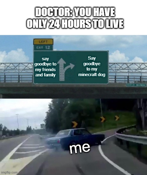 Left Exit 12 Off Ramp | DOCTOR: YOU HAVE ONLY 24 HOURS TO LIVE; say goodbye to my friends and family; Say goodbye to my minecraft dog; me | image tagged in memes,left exit 12 off ramp | made w/ Imgflip meme maker