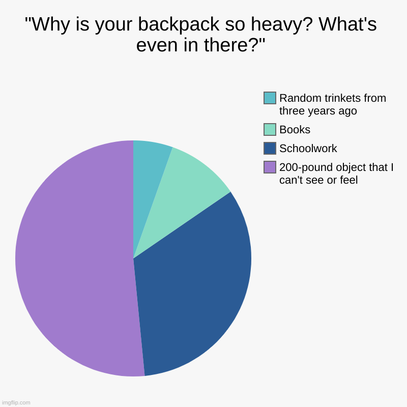 "Why is your backpack so heavy? What's even in there?" | 200-pound object that I can't see or feel, Schoolwork, Books, Random trinkets from  | image tagged in charts,pie charts | made w/ Imgflip chart maker