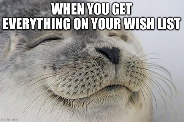 Satisfied Seal | WHEN YOU GET EVERYTHING ON YOUR WISH LIST | image tagged in memes,satisfied seal | made w/ Imgflip meme maker