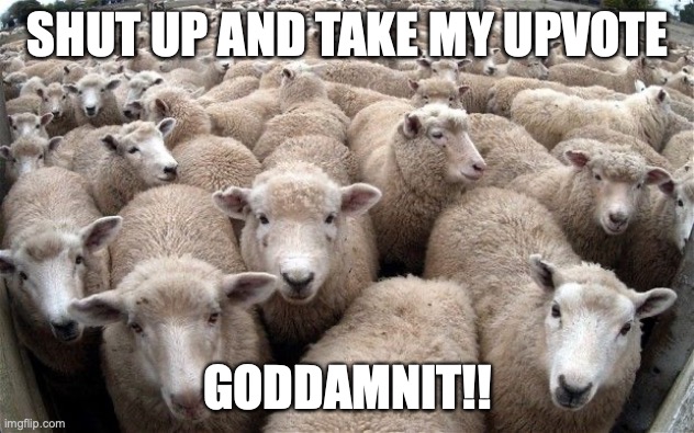 sheeple | SHUT UP AND TAKE MY UPVOTE GODDAMNIT!! | image tagged in memes,sheep,upvotes | made w/ Imgflip meme maker
