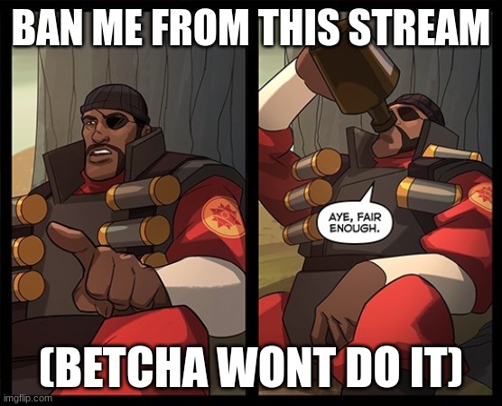 demoman is the best woman | BAN ME FROM THIS STREAM; (BETCHA WONT DO IT) | image tagged in aye fair enough | made w/ Imgflip meme maker