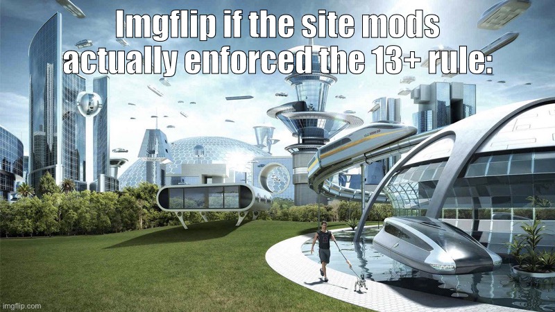 Theres underage kids scattered around the site | Imgflip if the site mods actually enforced the 13+ rule: | image tagged in the future world if | made w/ Imgflip meme maker