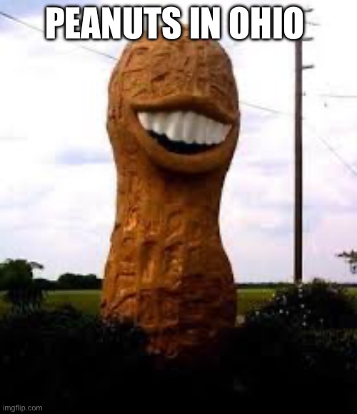 PEANUTS IN OHIO | made w/ Imgflip meme maker