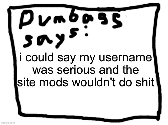 idk | i could say my username was serious and the site mods wouldn't do shit | image tagged in idk | made w/ Imgflip meme maker