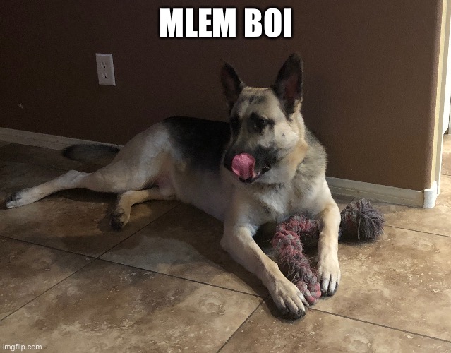 MLEM BOI | made w/ Imgflip meme maker