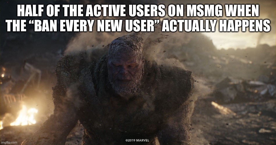 Thanos turns to dust | HALF OF THE ACTIVE USERS ON MSMG WHEN THE “BAN EVERY NEW USER” ACTUALLY HAPPENS | image tagged in thanos turns to dust | made w/ Imgflip meme maker