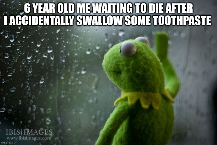 Fax | 6 YEAR OLD ME WAITING TO DIE AFTER I ACCIDENTALLY SWALLOW SOME TOOTHPASTE | image tagged in kermit window,memes | made w/ Imgflip meme maker