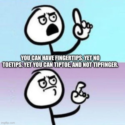 I… |  YOU CAN HAVE FINGERTIPS, YET NO TOETIPS. YET YOU CAN TIPTOE, AND NOT TIPFINGER. | image tagged in wait nevermind,toes,fingers | made w/ Imgflip meme maker