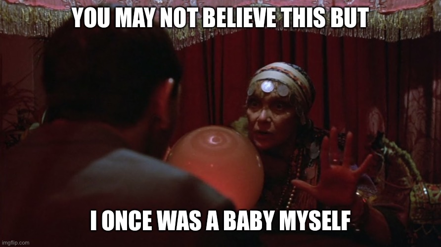 - Madame Wu 2004 | YOU MAY NOT BELIEVE THIS BUT; I ONCE WAS A BABY MYSELF | image tagged in madam ruby says,balls | made w/ Imgflip meme maker