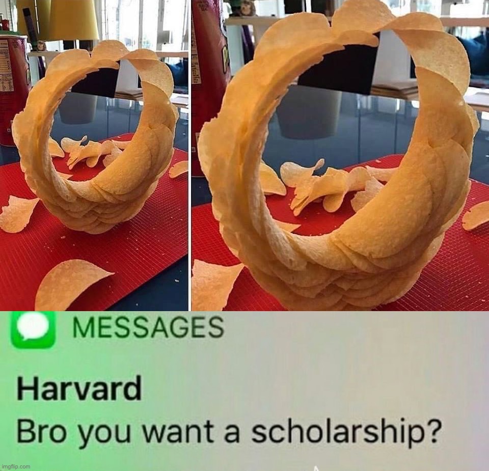 image tagged in pringles ringle,harvard scholarship | made w/ Imgflip meme maker