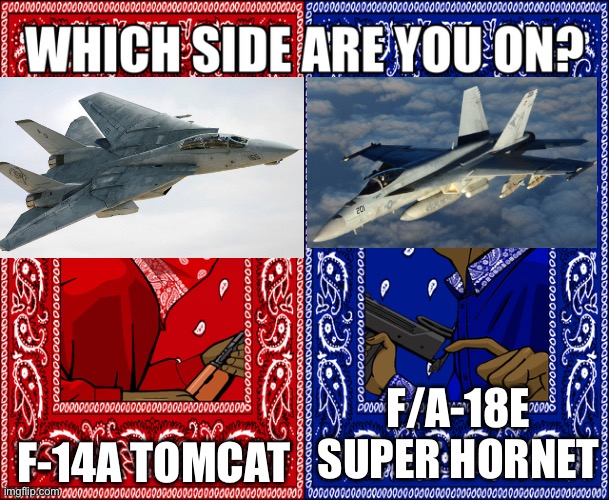 Original or new Top Gun? | F-14A TOMCAT; F/A-18E SUPER HORNET | image tagged in which side are you on | made w/ Imgflip meme maker