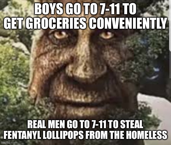 The government doesn’t want you to know this!!1! | BOYS GO TO 7-11 TO GET GROCERIES CONVENIENTLY; REAL MEN GO TO 7-11 TO STEAL FENTANYL LOLLIPOPS FROM THE HOMELESS | image tagged in wise mystical tree | made w/ Imgflip meme maker