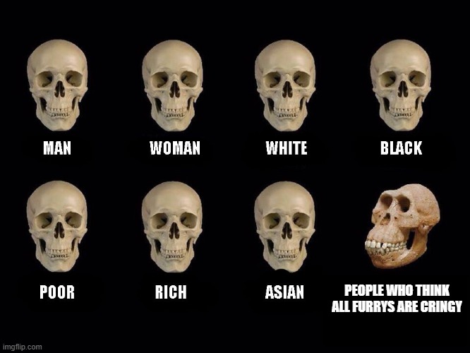 empty skulls of truth | PEOPLE WHO THINK ALL FURRYS ARE CRINGY | image tagged in empty skulls of truth,anti furry,furry,memes | made w/ Imgflip meme maker