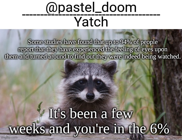Yachi's raccoon temp (thank you Badoo) | Some studies have found that up to 94% of people report that they have experienced the feeling of eyes upon them and turned around to find out they were indeed being watched. It's been a few weeks and you're in the 6% | image tagged in yachi's raccoon temp thank you badoo | made w/ Imgflip meme maker