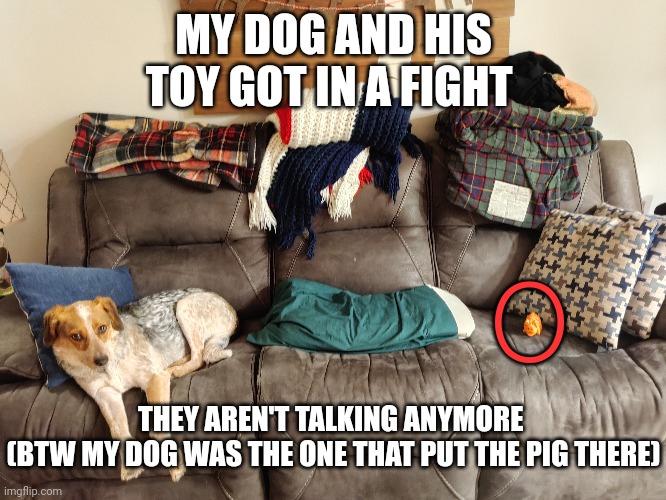 MY DOG AND HIS TOY GOT IN A FIGHT; O; THEY AREN'T TALKING ANYMORE 
(BTW MY DOG WAS THE ONE THAT PUT THE PIG THERE) | made w/ Imgflip meme maker