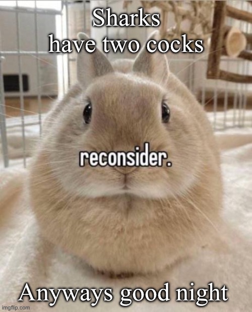 reconsider | Sharks have two cocks; Anyways good night | image tagged in reconsider | made w/ Imgflip meme maker