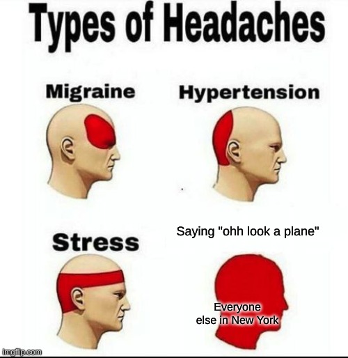 Everyone else in the towers: | Saying "ohh look a plane"; Everyone else in New York | image tagged in types of headaches meme,dark humor | made w/ Imgflip meme maker