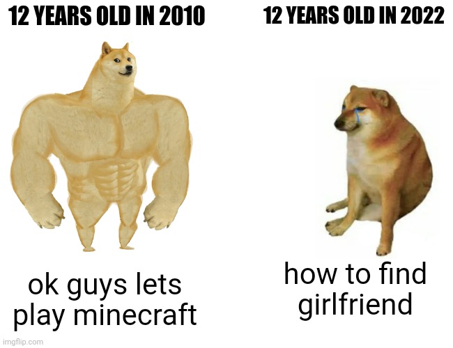 Buff Doge vs. Cheems | 12 YEARS OLD IN 2010; 12 YEARS OLD IN 2022; how to find girlfriend; ok guys lets play minecraft | image tagged in memes,buff doge vs cheems,then vs now,the good old days | made w/ Imgflip meme maker