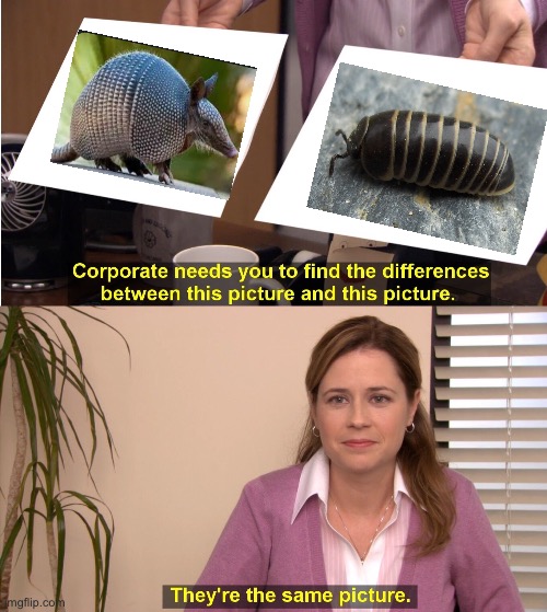 They're The Same Picture Meme | image tagged in memes,they're the same picture | made w/ Imgflip meme maker