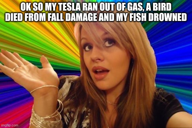 dum blondie | OK SO MY TESLA RAN OUT OF GAS, A BIRD DIED FROM FALL DAMAGE AND MY FISH DROWNED | image tagged in memes,dumb blonde | made w/ Imgflip meme maker