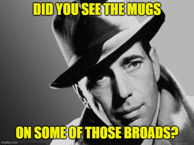 Humphrey Bogart | DID YOU SEE THE MUGS ON SOME OF THOSE BROADS? | image tagged in humphrey bogart | made w/ Imgflip meme maker