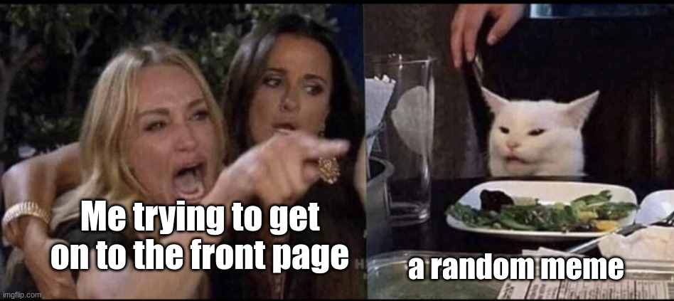 This constantly happens to me | Me trying to get on to the front page; a random meme | image tagged in karen carpenter and smudge cat | made w/ Imgflip meme maker
