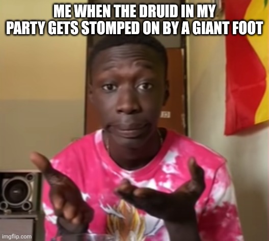 Just move out of the way! | ME WHEN THE DRUID IN MY PARTY GETS STOMPED ON BY A GIANT FOOT | image tagged in khaby lame | made w/ Imgflip meme maker