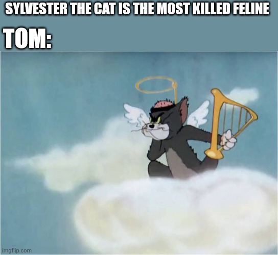Think again | TOM:; SYLVESTER THE CAT IS THE MOST KILLED FELINE | image tagged in angelic tom flying on a cloud,tom,tom and jerry,sylvester the cat,tom and jerry meme,warner bros | made w/ Imgflip meme maker