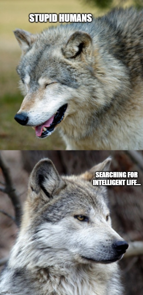 haha-no-wolf | STUPID HUMANS SEARCHING FOR INTELLIGENT LIFE... | image tagged in haha-no-wolf | made w/ Imgflip meme maker