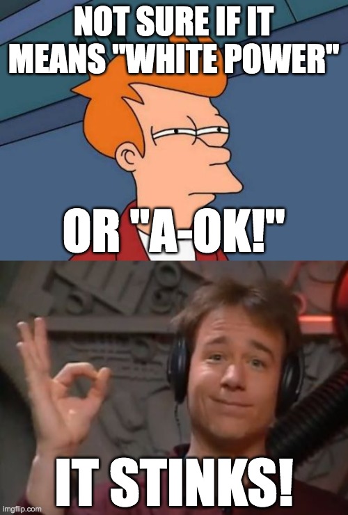 What do you think? | NOT SURE IF IT MEANS "WHITE POWER"; OR "A-OK!"; IT STINKS! | image tagged in memes,futurama fry,mst3k joel,it stinks,white power | made w/ Imgflip meme maker