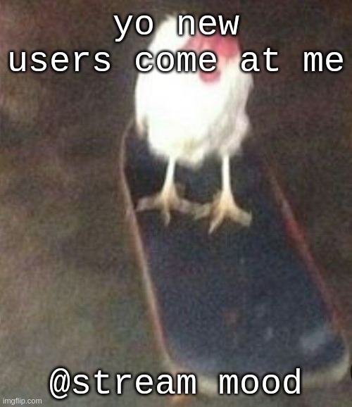 gotta let the newbies go first | yo new users come at me; @stream mood | image tagged in dog on skateboard | made w/ Imgflip meme maker