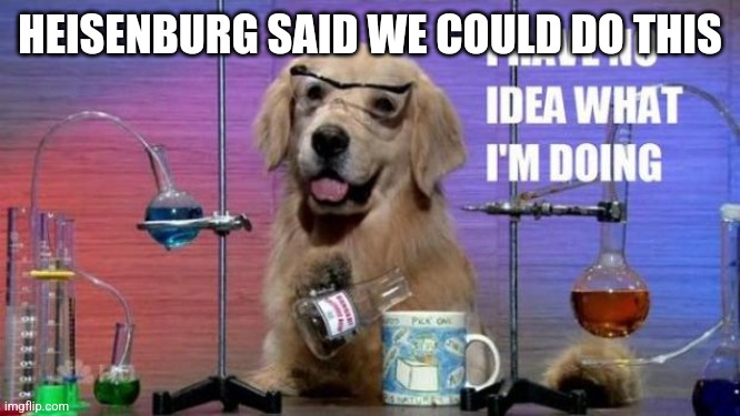 No Idea Dog in Lab Coat | HEISENBURG SAID WE COULD DO THIS | image tagged in no idea dog in lab coat | made w/ Imgflip meme maker