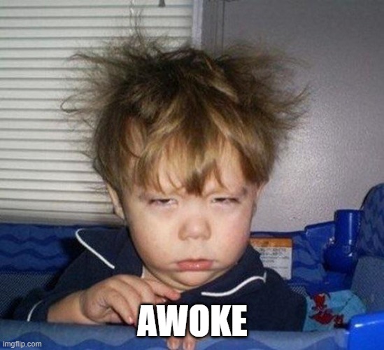 Just Woke Up | AWOKE | image tagged in just woke up | made w/ Imgflip meme maker