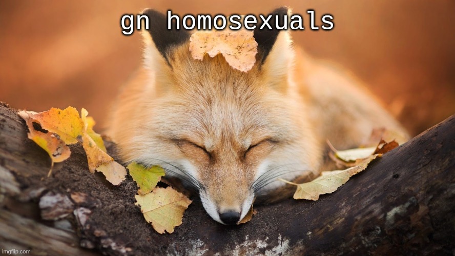 gn def stands for get naked soooo | gn homosexuals | image tagged in goodnight | made w/ Imgflip meme maker