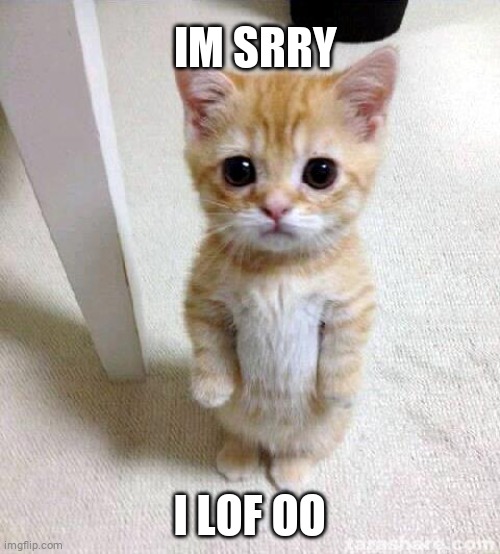 Cute Cat Meme | IM SRRY; I LOF OO | image tagged in memes,cute cat | made w/ Imgflip meme maker