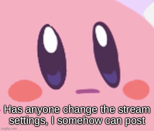 Blank Kirby Face | Has anyone change the stream settings, I somehow can post | image tagged in blank kirby face | made w/ Imgflip meme maker