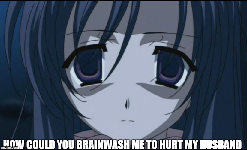 HOW COULD YOU BRAINWASH ME TO HURT MY HUSBAND | made w/ Imgflip meme maker