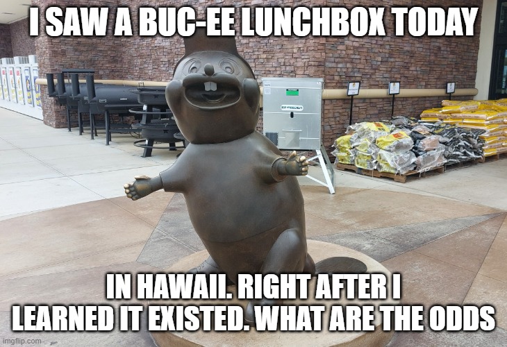 Buc-ee | I SAW A BUC-EE LUNCHBOX TODAY; IN HAWAII. RIGHT AFTER I LEARNED IT EXISTED. WHAT ARE THE ODDS | image tagged in buc-ee | made w/ Imgflip meme maker