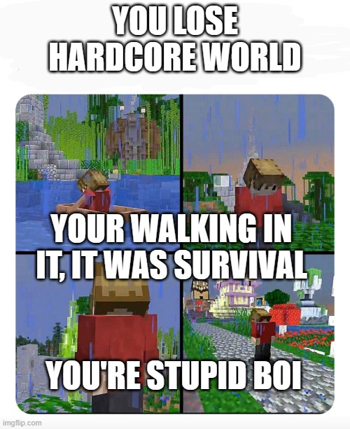 stupid Grian | YOU LOSE HARDCORE WORLD; YOUR WALKING IN IT, IT WAS SURVIVAL; YOU'RE STUPID BOI | image tagged in sad grian,minecraft | made w/ Imgflip meme maker