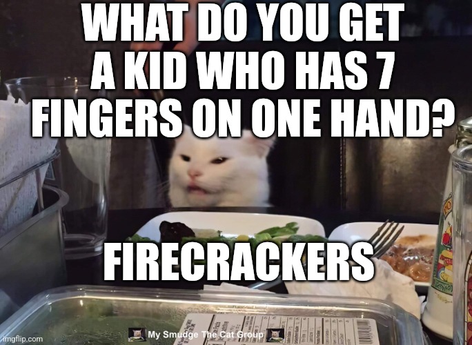 WHAT DO YOU GET A KID WHO HAS 7 FINGERS ON ONE HAND? FIRECRACKERS | image tagged in smudge the cat | made w/ Imgflip meme maker