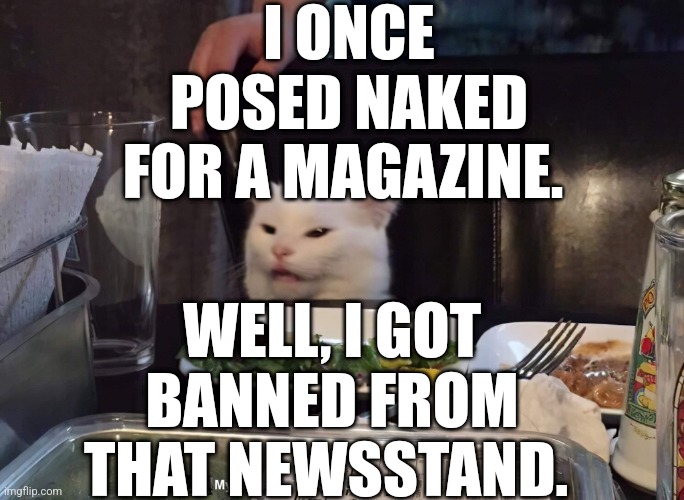 I ONCE POSED NAKED FOR A MAGAZINE. WELL, I GOT BANNED FROM THAT NEWSSTAND. | image tagged in smudge the cat | made w/ Imgflip meme maker