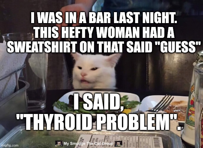 I WAS IN A BAR LAST NIGHT. THIS HEFTY WOMAN HAD A SWEATSHIRT ON THAT SAID "GUESS"; I SAID, "THYROID PROBLEM". | image tagged in smudge the cat | made w/ Imgflip meme maker