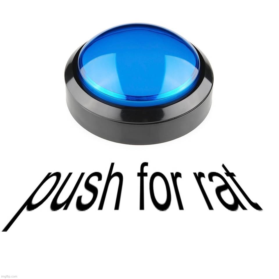 Push for rat | image tagged in push for rat | made w/ Imgflip meme maker